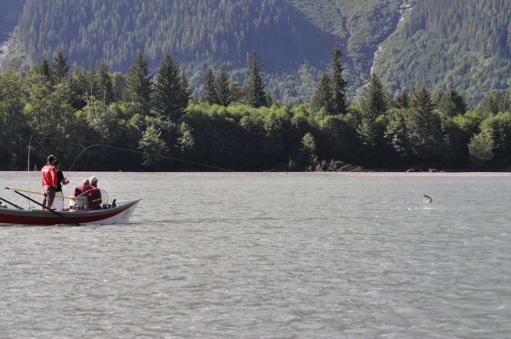 Skeena river drift boat adventures, Steelhead,Coho,Chinook,Sockeye Salmon fishing guides.