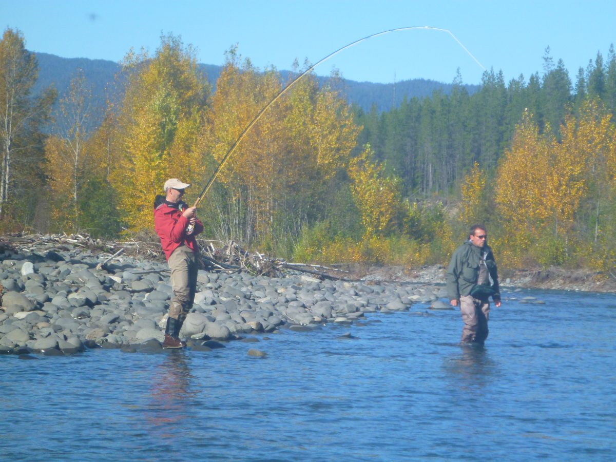 Canadian angling guides providing fishing adventures on remote rivers out of Terrace BC on the Nass,Kitimat,Skeena watersheds from wilderness camps to loding we can do it 16 years in the business of spey casting,flyfishing,float fishing