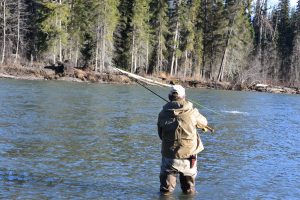 Bell Irving river steelhead fishing 